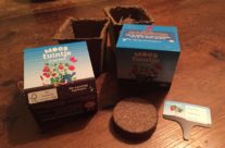 Wie wordt de Beste moestuinder van Nederland?