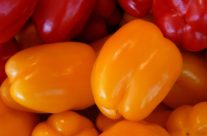 Verontwaardiging over octrooi op voedsel