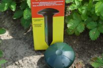 Moestuin of dierentuin?